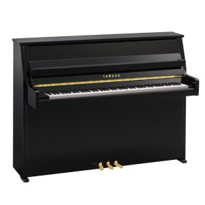 Yamaha b10