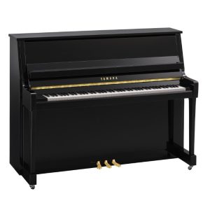 Yamaha b20