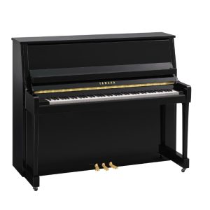 Yamaha b30