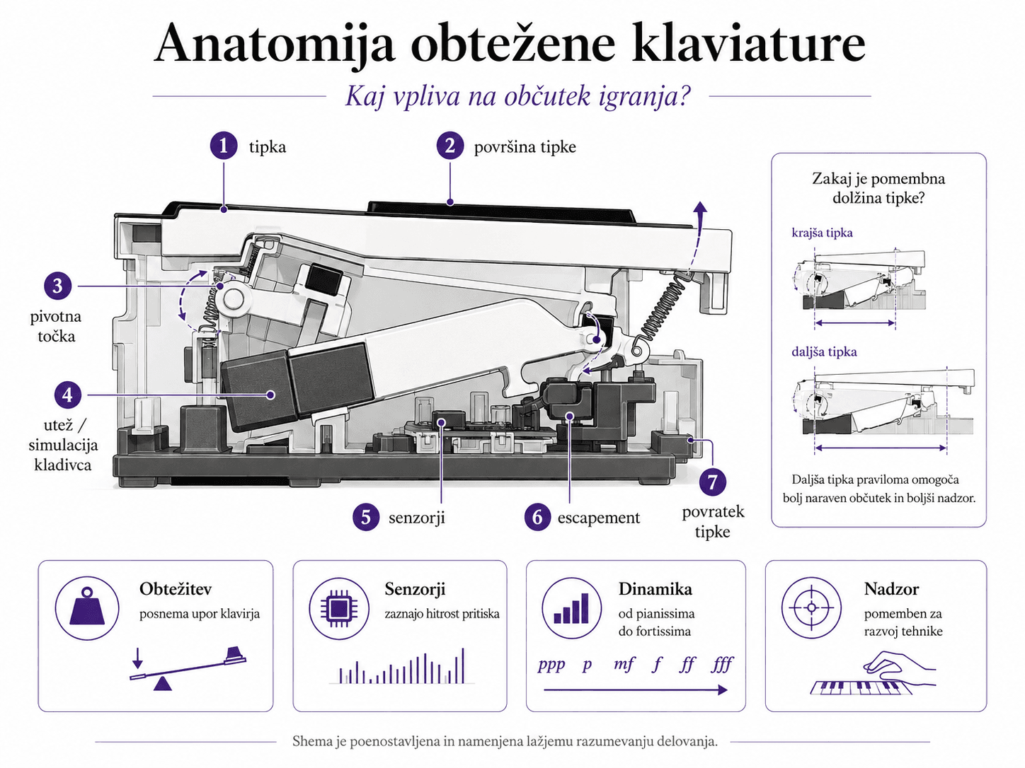 Cross-section diagram of a keyboard mechanism with labeled parts and numbers indicating tipka, površina tipke, pivot point, sensor, escamement, return spring, and tipke movement directions.